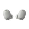 Sony WF-1000XM6 Wireless Earbuds