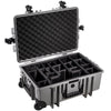 Outdoor Cases Type 6700 - Avit Digital, Sony